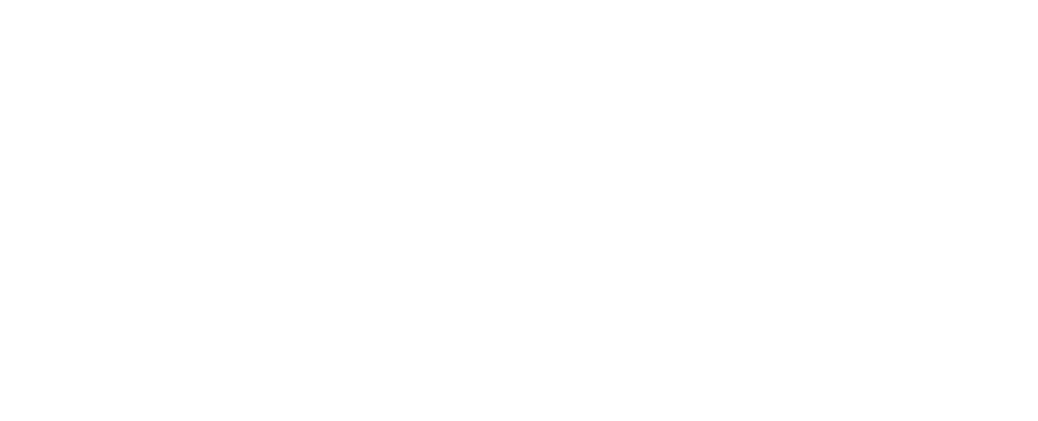 NYS_combo_horizontal_white_WEB (1)