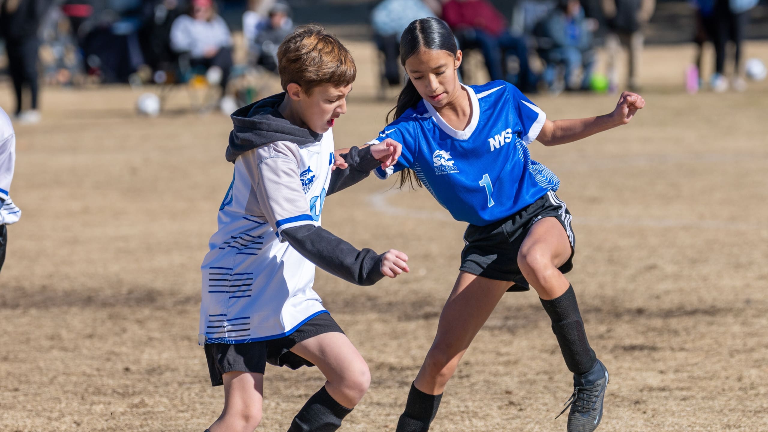 Soccer-Divisions-Premier14U