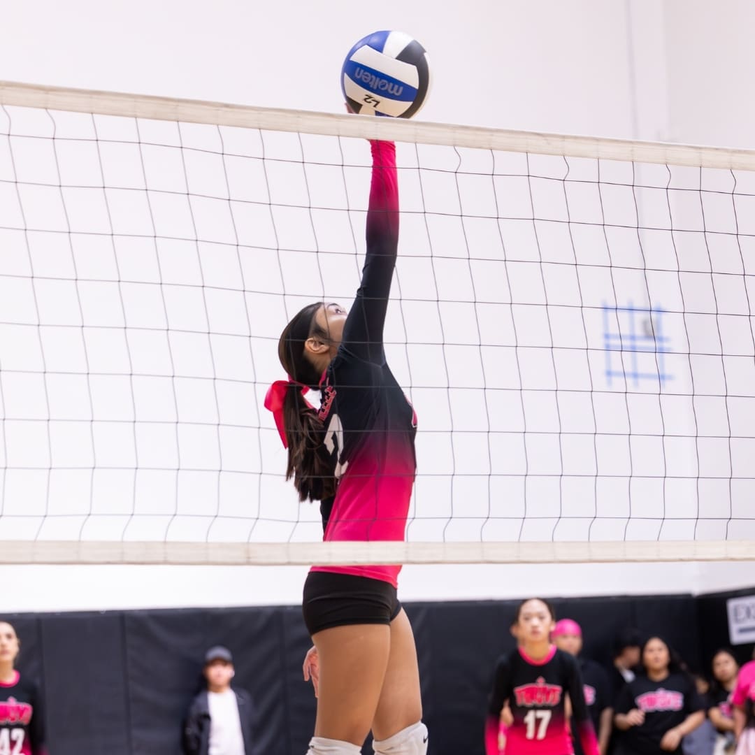 VolleyballTile2